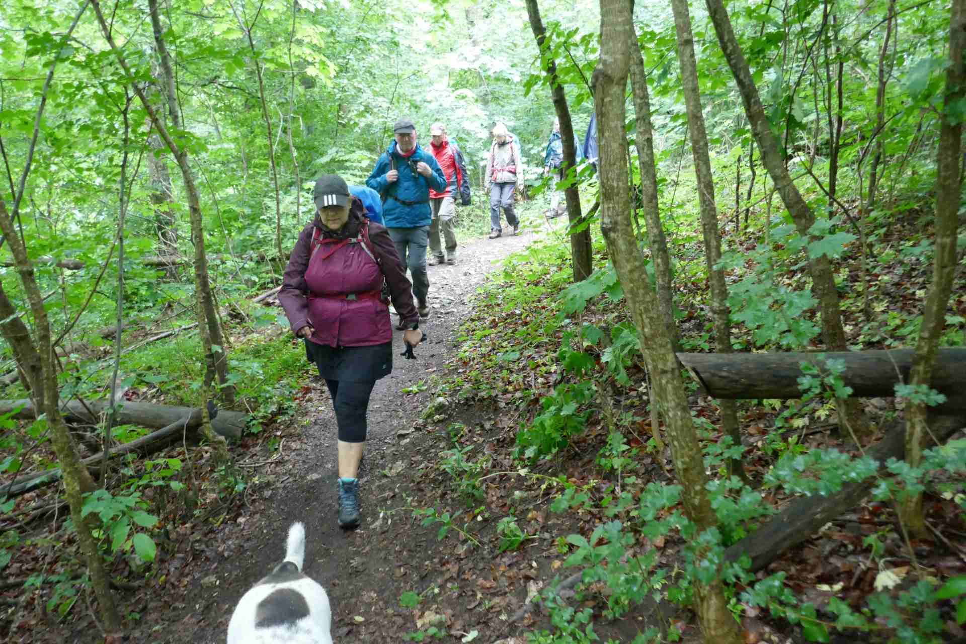 05 Albschäferweg - 2 Tages Wanderung im Juni